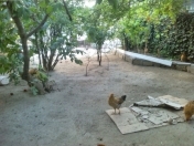 Satılır 1.8 sot torpaq Binəqədi