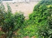 Satılır 17 sot torpaq Bakıxanov