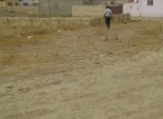 Satılır 3 sot torpaq Masazır