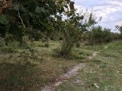 Satılır 7.5 sot torpaq Qobustan