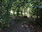 Satılır 6 sot torpaq Qusar