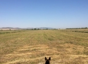 Satılır 700 sot torpaq Xızı