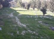 Satılır 15 sot torpaq Badamdar