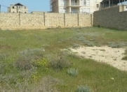 Satılır 4 sot torpaq Badamdar