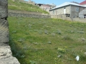 Satılır 7 sot torpaq Badamdar