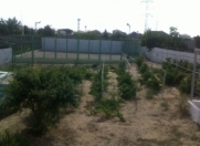 Satılır 6 otaqlı 2000 m2 bağ evi Şüvəlan