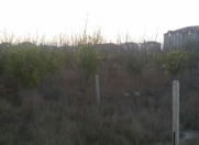 Satılır 4 sot torpaq Binə