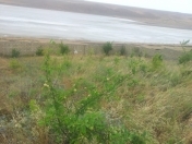 Satılır 14 sot torpaq Fatmayı