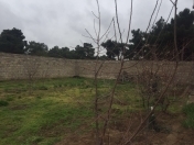 Satılır 5 sot torpaq Aviasiya Akademiyası Universiteti