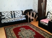 Satılır 1 otaqlı 38.6 m2 yeni tikili Xırdalan