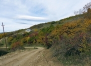 Satılır 6 sot torpaq Şamaxı