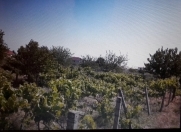 Satılır 12 sot torpaq Fatmayı