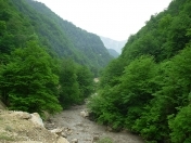 Satılır 100 sot torpaq Quba