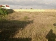 Satılır 6 sot torpaq Bilgəh