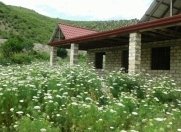 Satılır 3 otaqlı 150 m2 həyət evi İsmayıllı