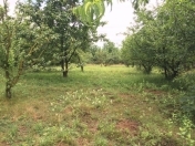 Satılır 15 sot torpaq Quba