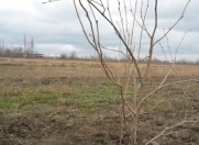 Satılır 4550 sot torpaq Xaçmaz