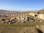 Satılır 12 sot torpaq Hökməli