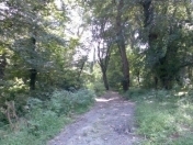 Satılır 30 sot torpaq Xaçmaz