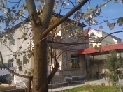 Satılır 4 otaqlı 240 m2 həyət evi Böyükşor