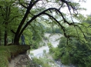 Satılır 18 sot torpaq İsmayıllı