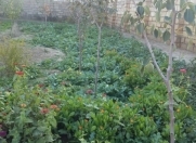 Satılır 5 sot torpaq Mehdiabad