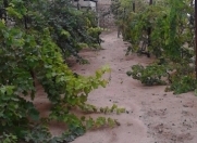 Satılır 3 otaqlı 11.4 m2 bağ evi Novxanı