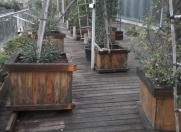 İcarəyə verilir 1 otaqlı 450 m2 obyekt 28 May m.