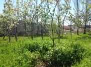 Satılır 6 sot torpaq Bülbülə