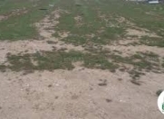 Satılır 1400 sot torpaq Məhəmmədli