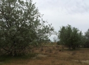 Satılır 7 sot torpaq Fatmayı