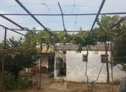 Satılır 3 otaqlı 33 m2 bağ evi Albalı