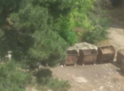 Satılır 50 sot torpaq Türkiyə səfirliyi