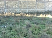 Satılır 5 sot torpaq Məhəmmədli