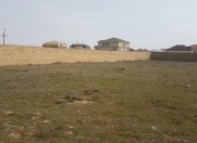 Satılır 100 sot torpaq Badamdar