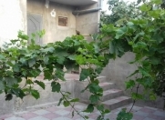 Satılır 3 otaqlı 120 m2 həyət evi Saray