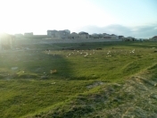 Satılır 120 sot torpaq Binə