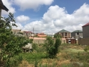 Satılır 6 sot torpaq Badamdar