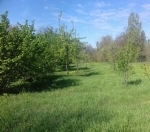 Satılır 3 sot torpaq Binə