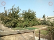 Satılır 10 sot torpaq Saray