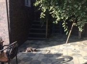 Satılır 4 otaqlı 80 m2 həyət evi Əmircan