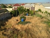 Satılır 5.5 sot torpaq Sumqayıt