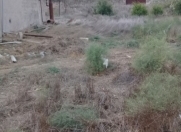 Satılır 3 sot torpaq Digah