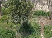 Satılır 4 sot torpaq Müdafiə Sənayesi Nazirliyi