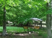 Satılır 76 sot torpaq Quba