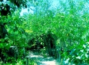 Satılır 6 sot torpaq Maştağa