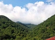 Satılır 12 sot torpaq Şamaxı