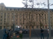 İcarəyə verilir 3 otaqlı 110 m2 yeni tikili Bayıl