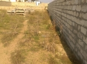 Satılır 6 sot torpaq Şüvəlan