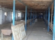 Satılır 8 otaqlı 6000 m2 obyekt Masallı